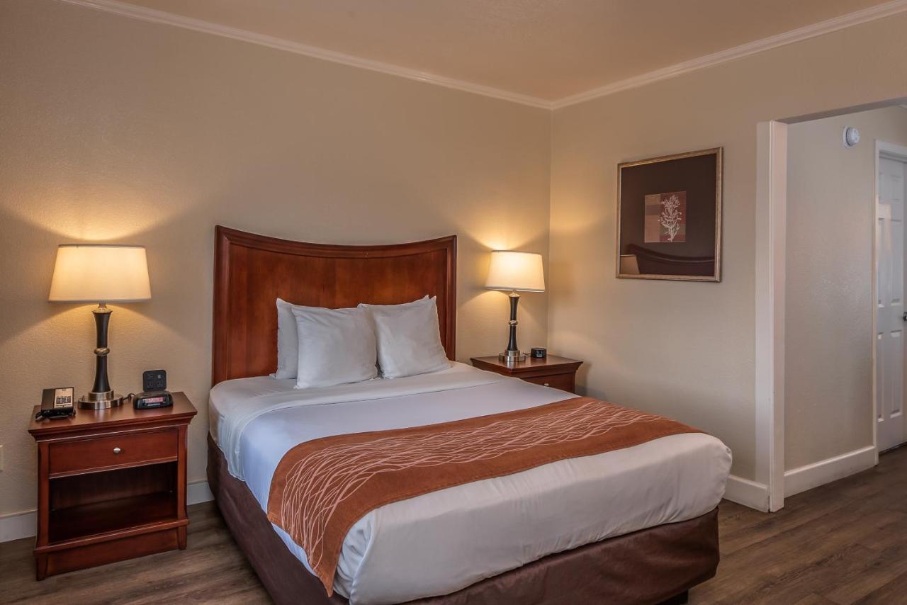 Kamer met Queensize Bed