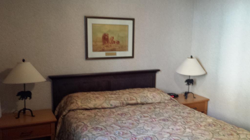 Appartement 1 Chambre