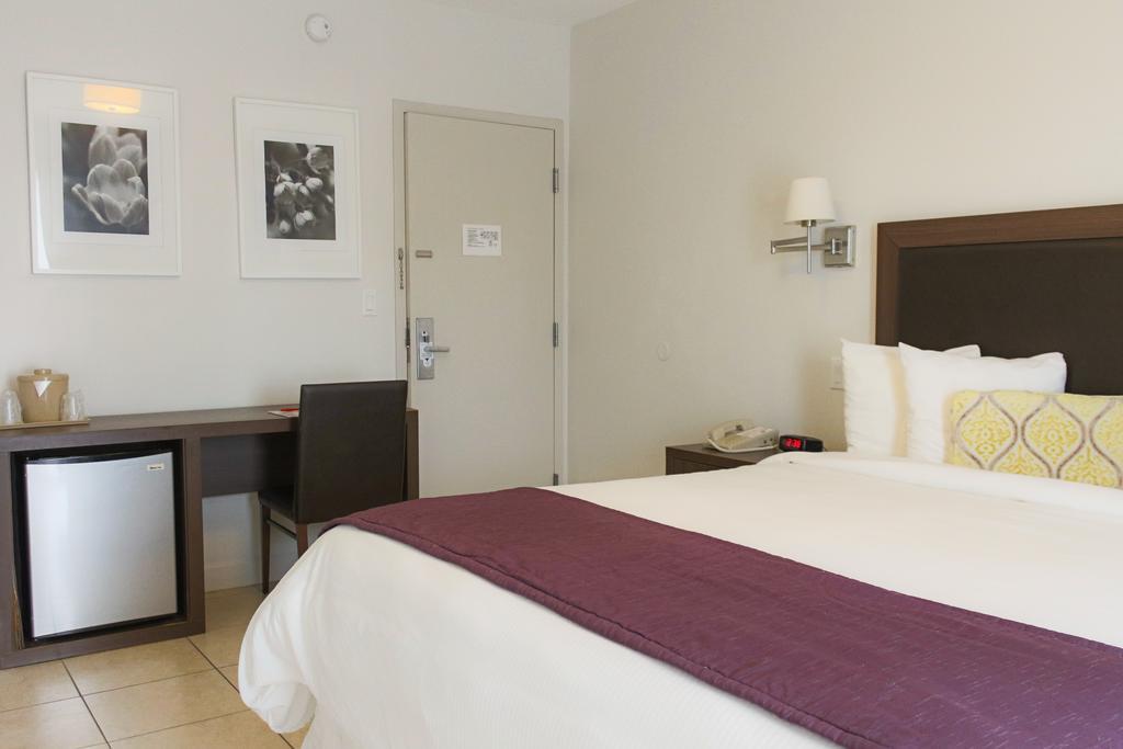 Habitación Estándar con cama extragrande - Sin suplemento del complejo
