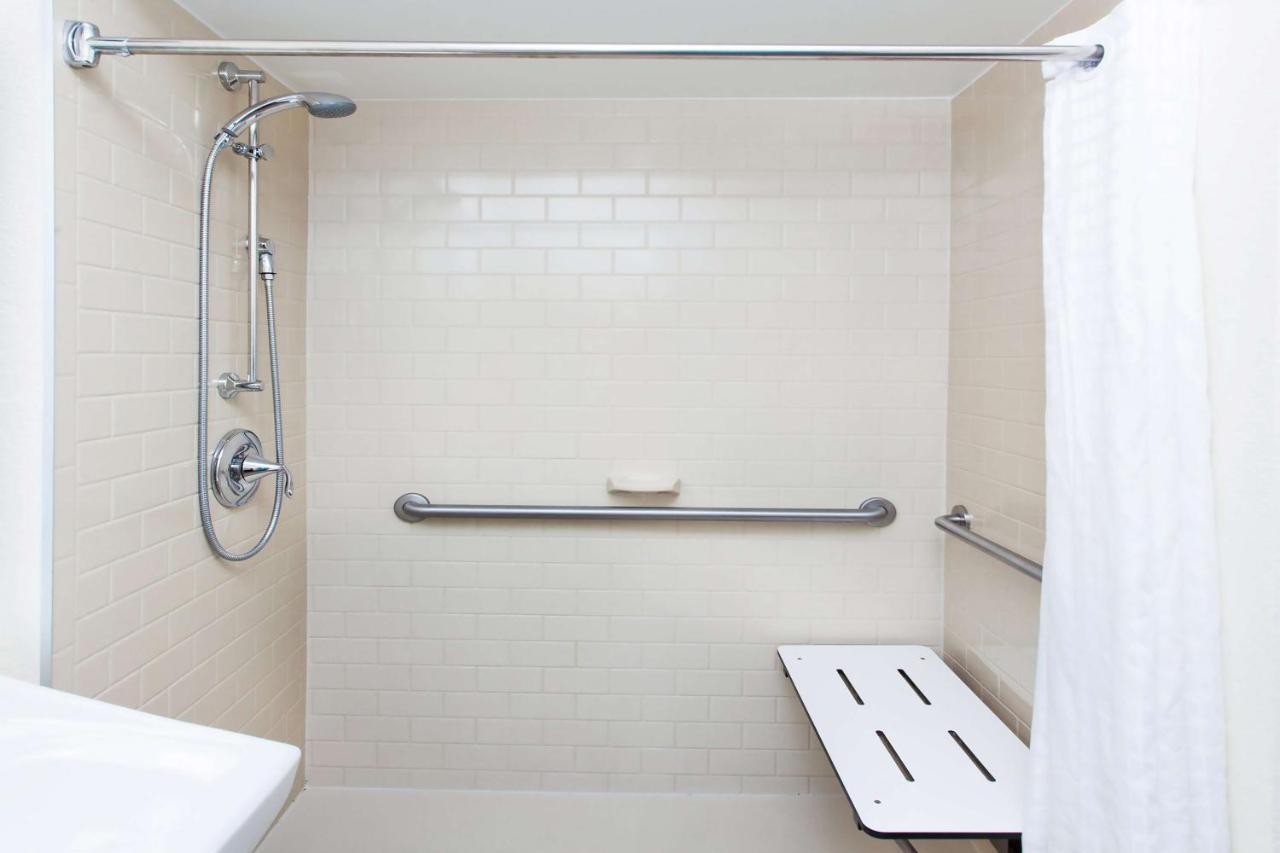 One-Bedroom Queen Suite with Roll-In Shower - Mobility Accessible