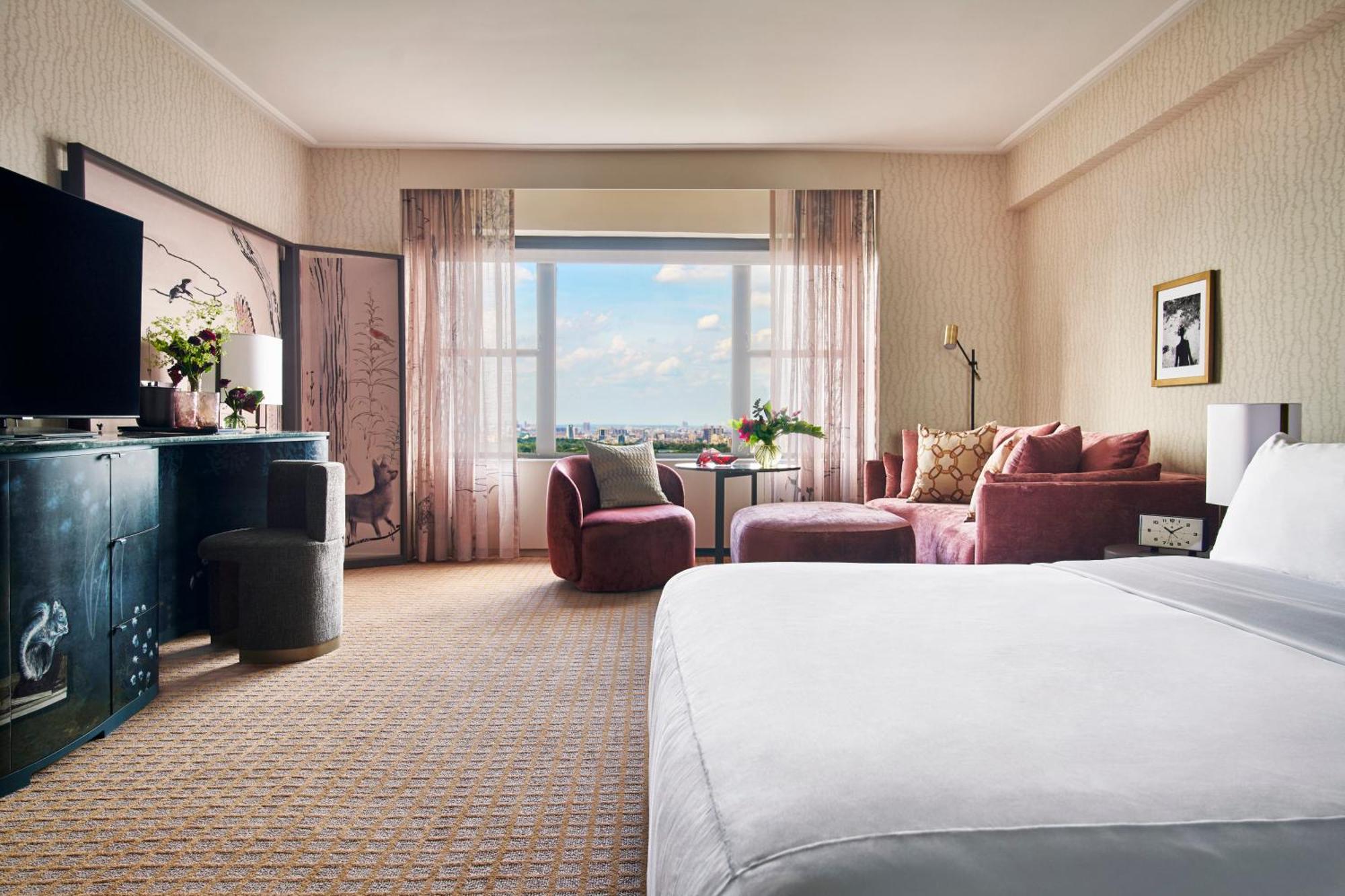 Suite Monolocale con Vista Parco
