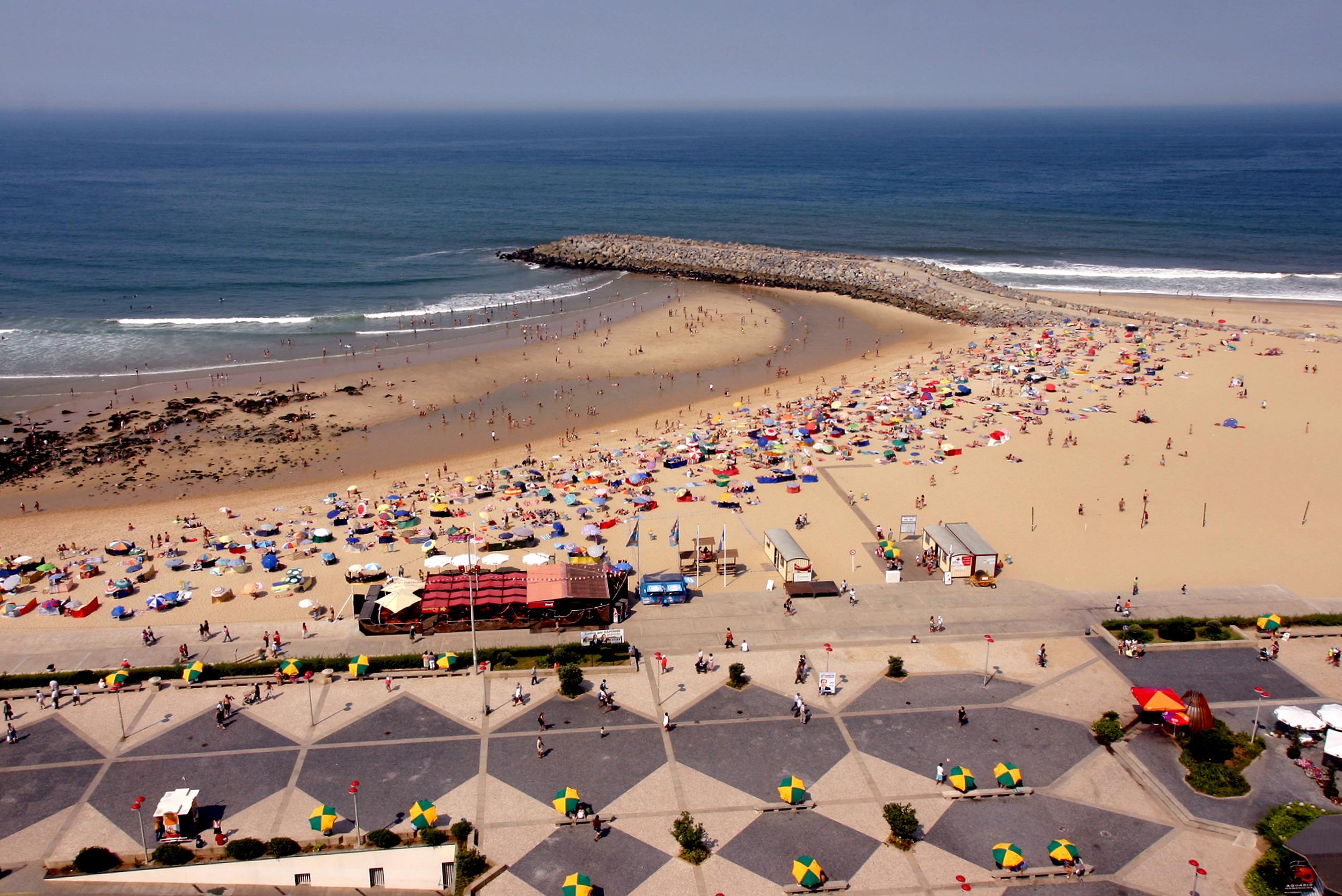 Appartement 1 Chambre Supérieur avec Vue sur Mer (3 Adultes)