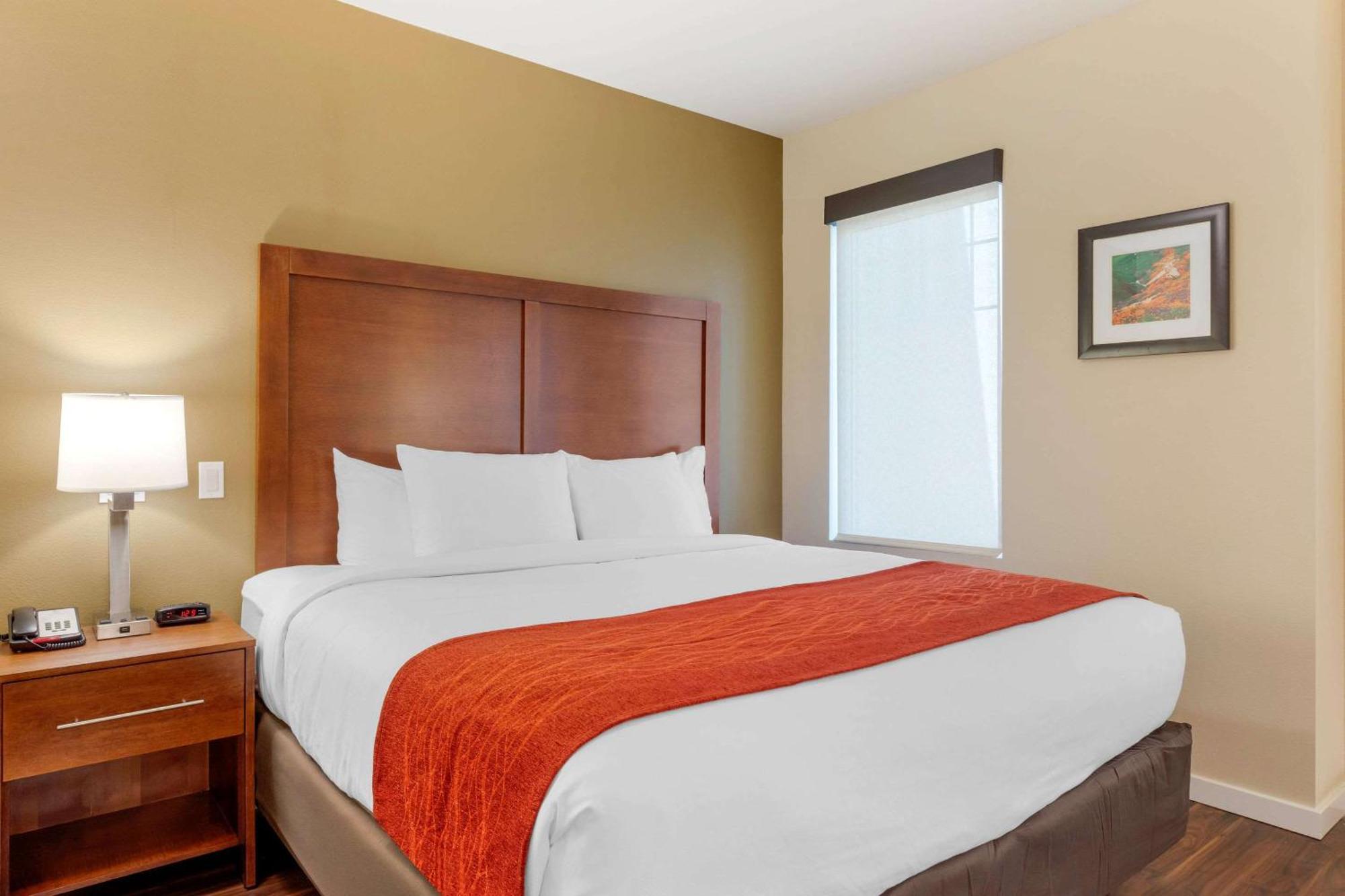 Accessible Room,, 1 King Bed, Transfer Shower, Non Smoking