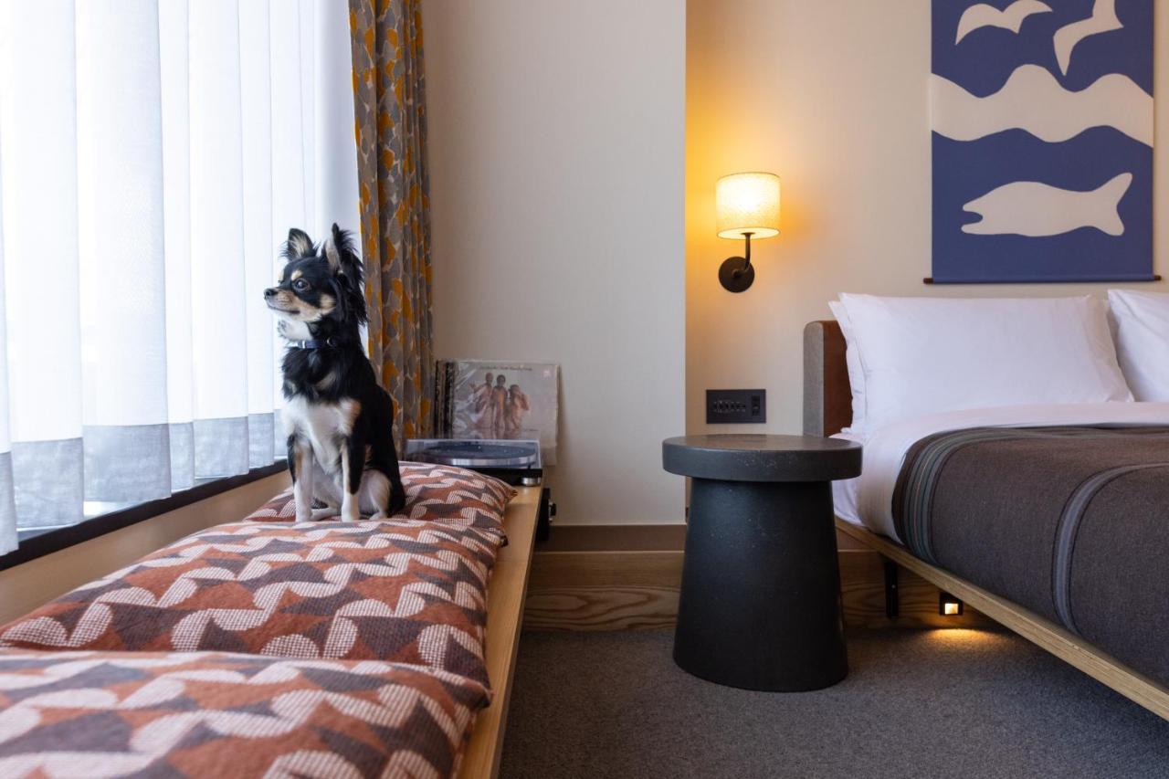 Standard King Room,1285345027:JPEG