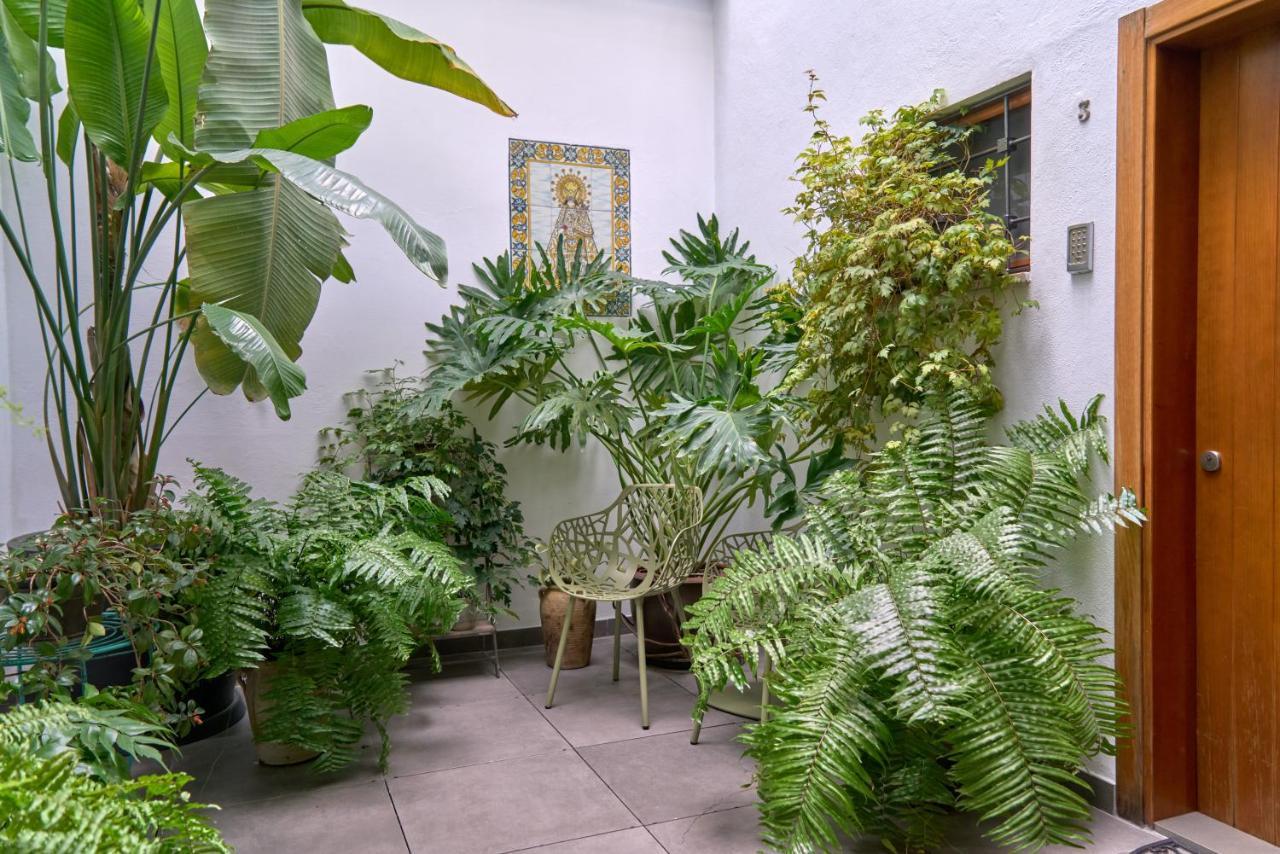 Standard Studio