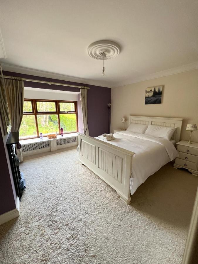 King Room Garden View