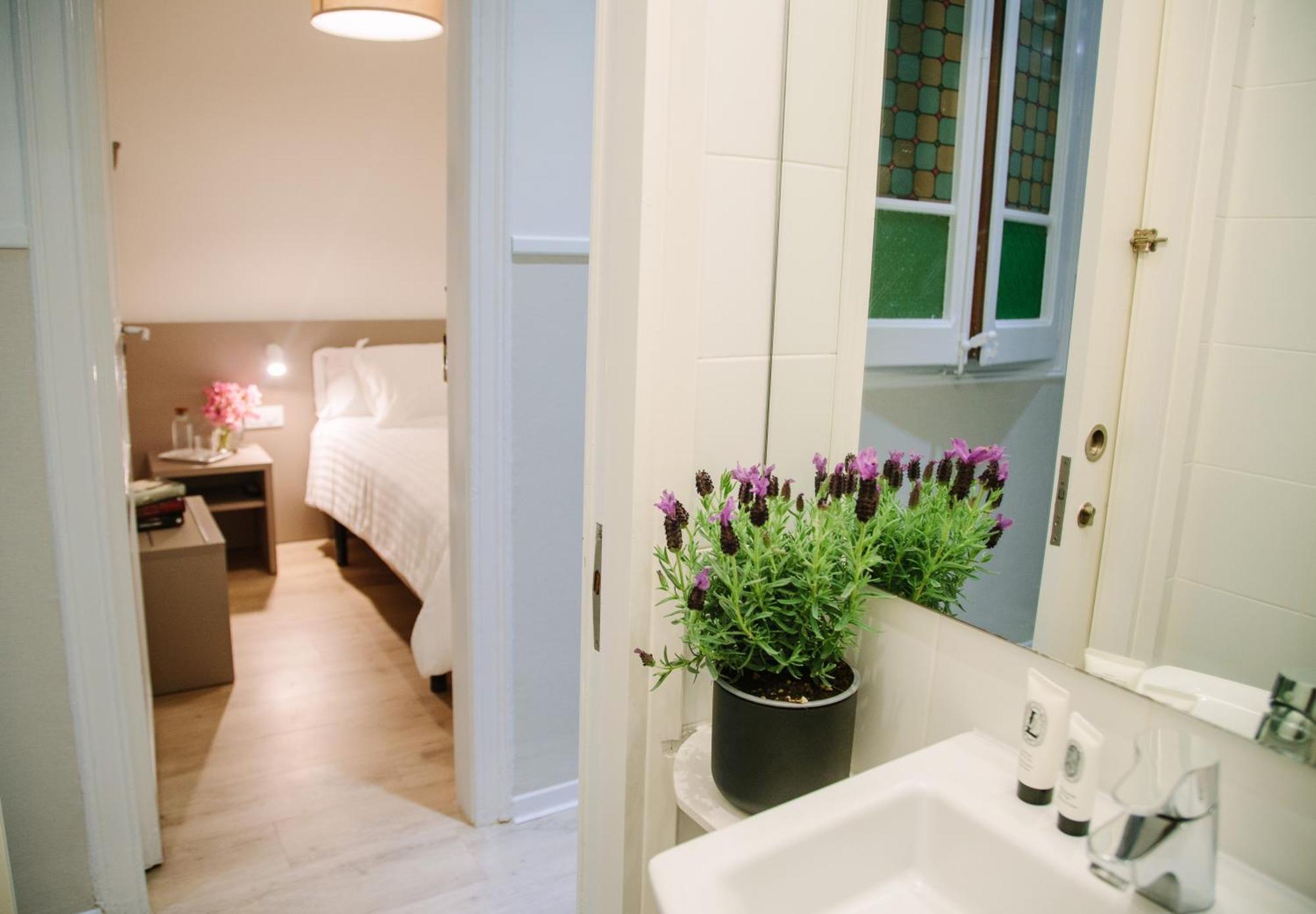 Economy Single Room