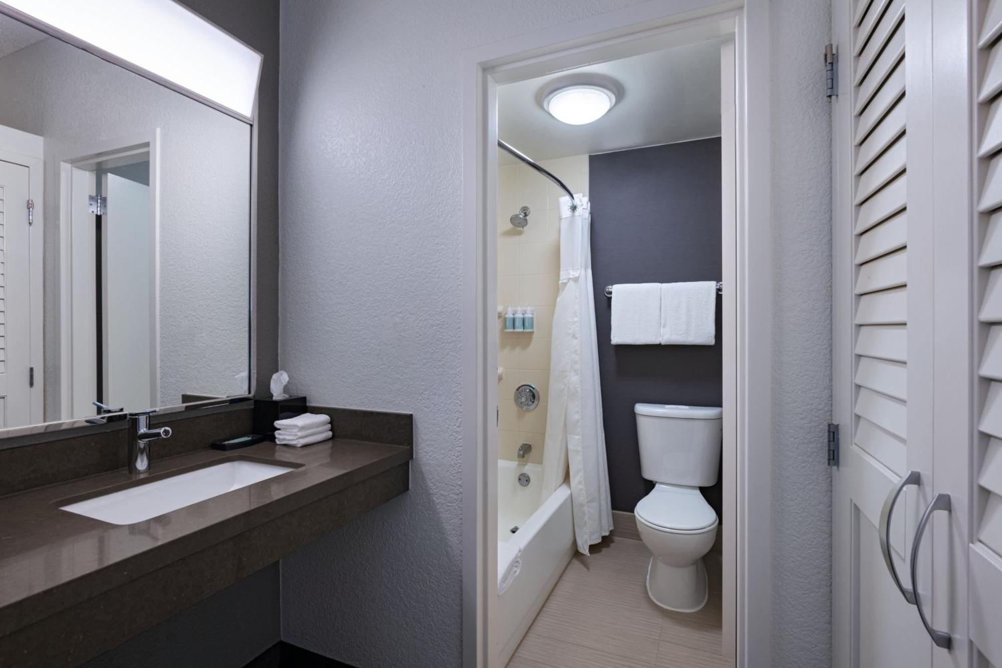 Habitación con cama extragrande y sofá cama