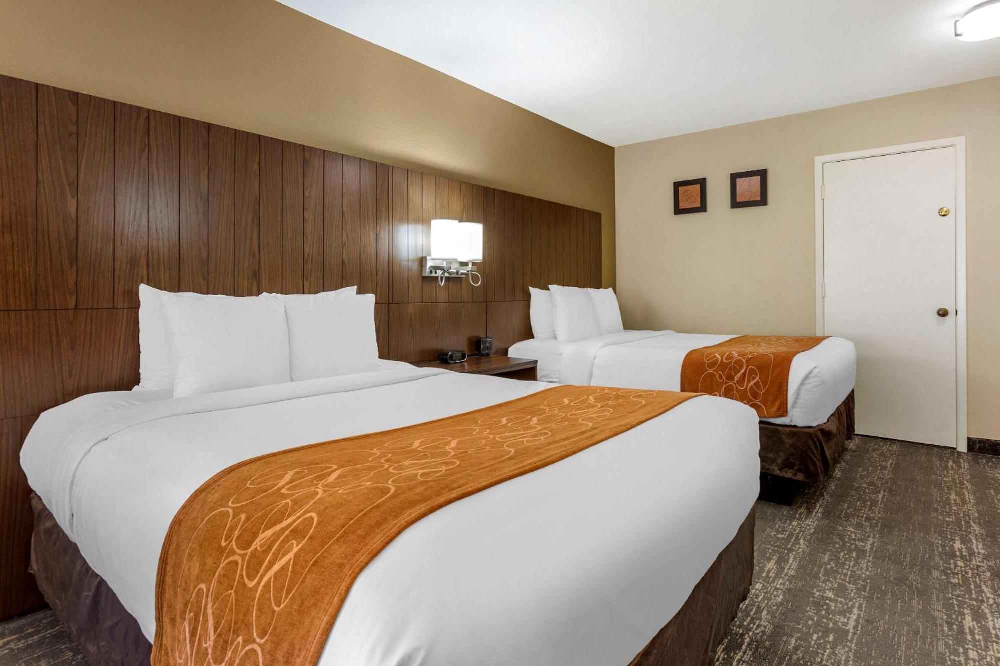 Standard Double Suite,1770484030:JPEG