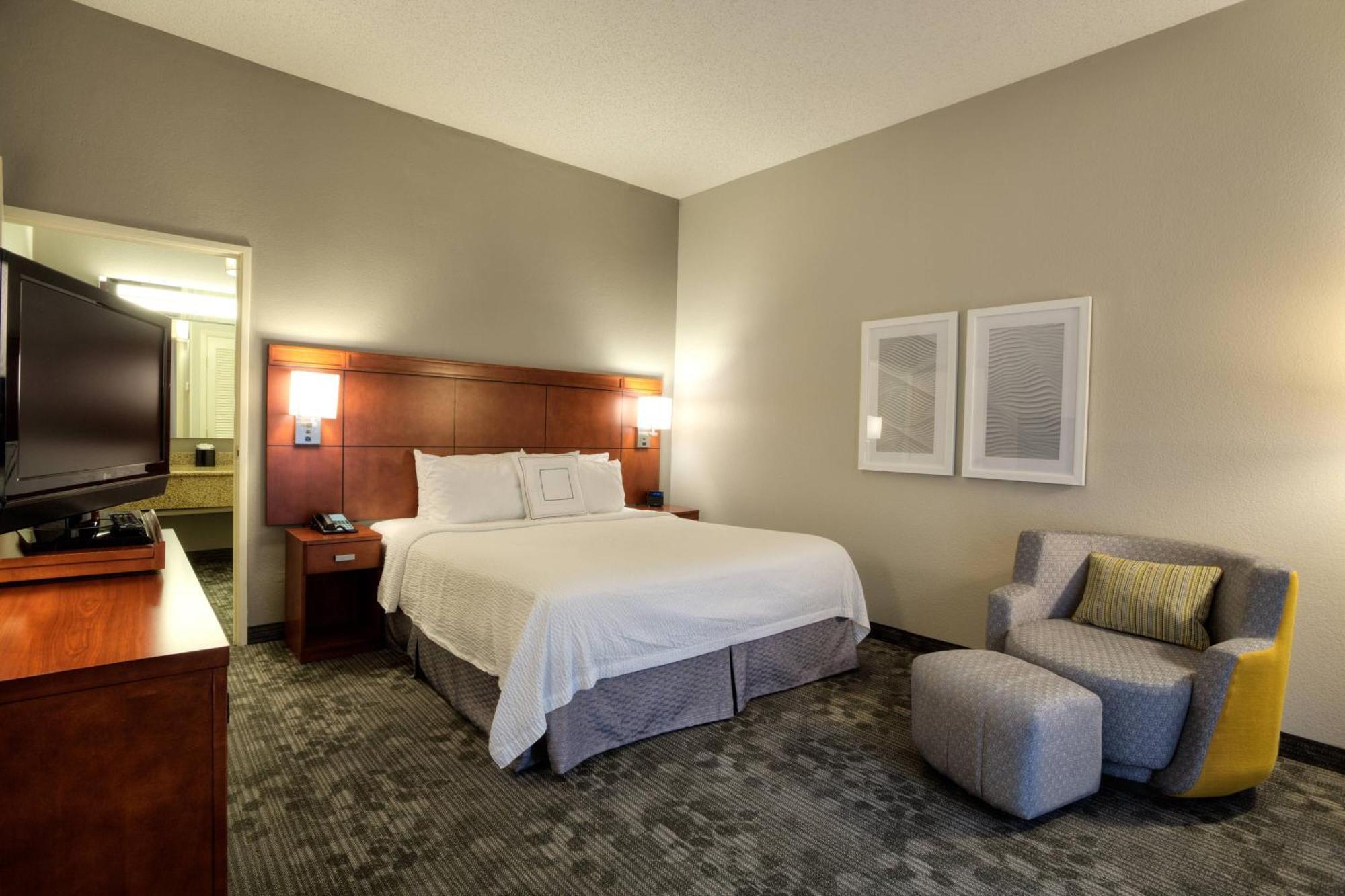 Suite, 1 King, Sofa bed