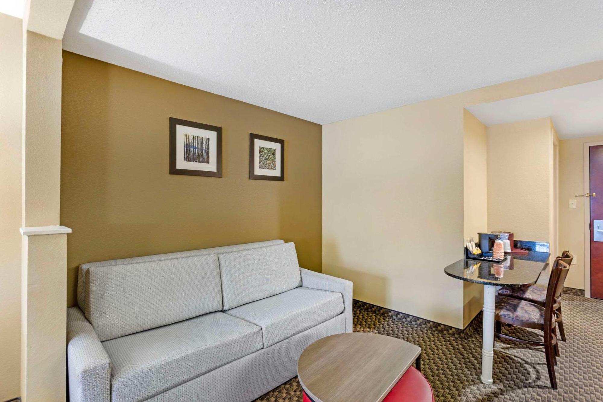 Efficiency King Suite Sofabed