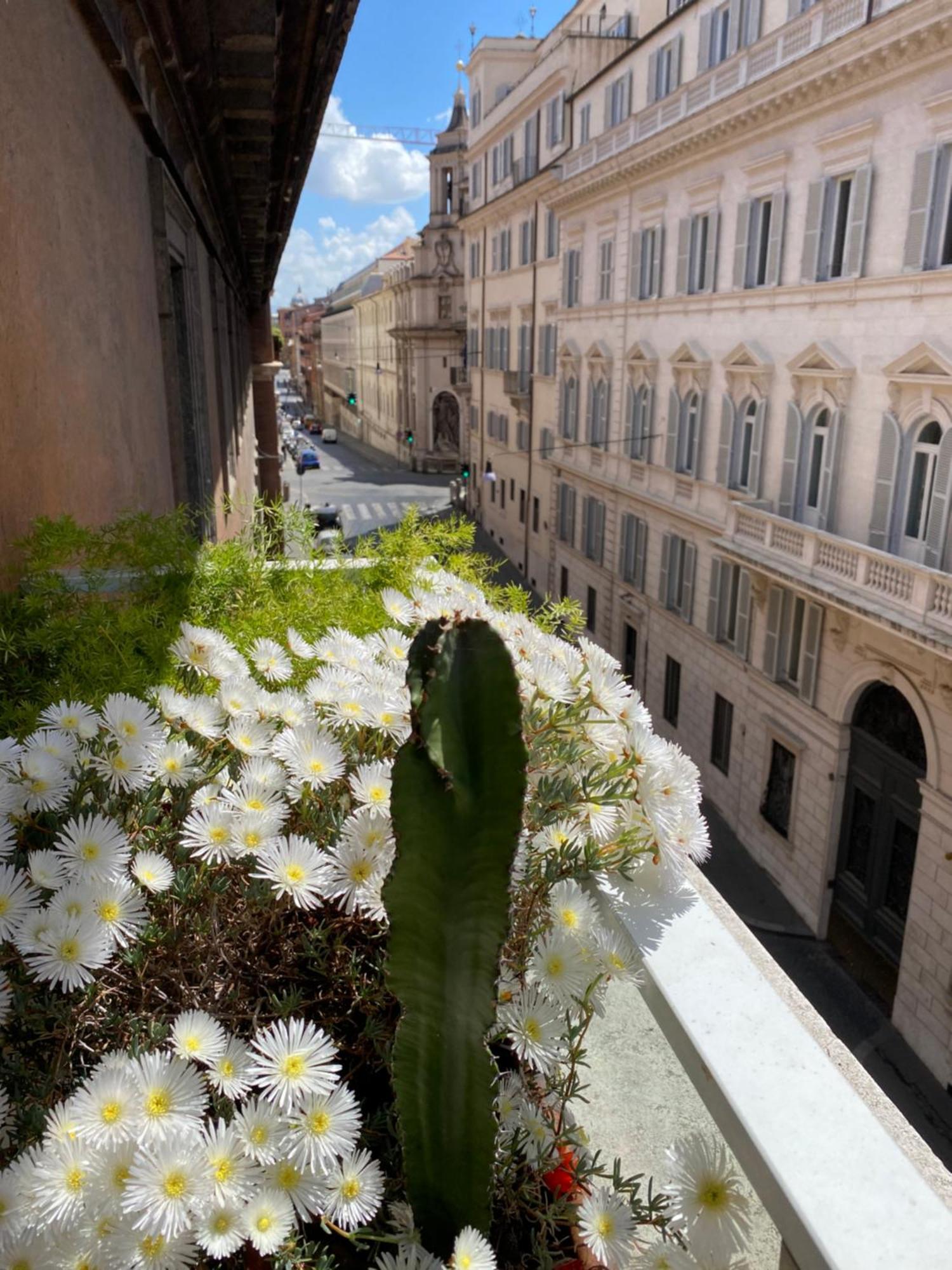 Deluxe Suite Terrace