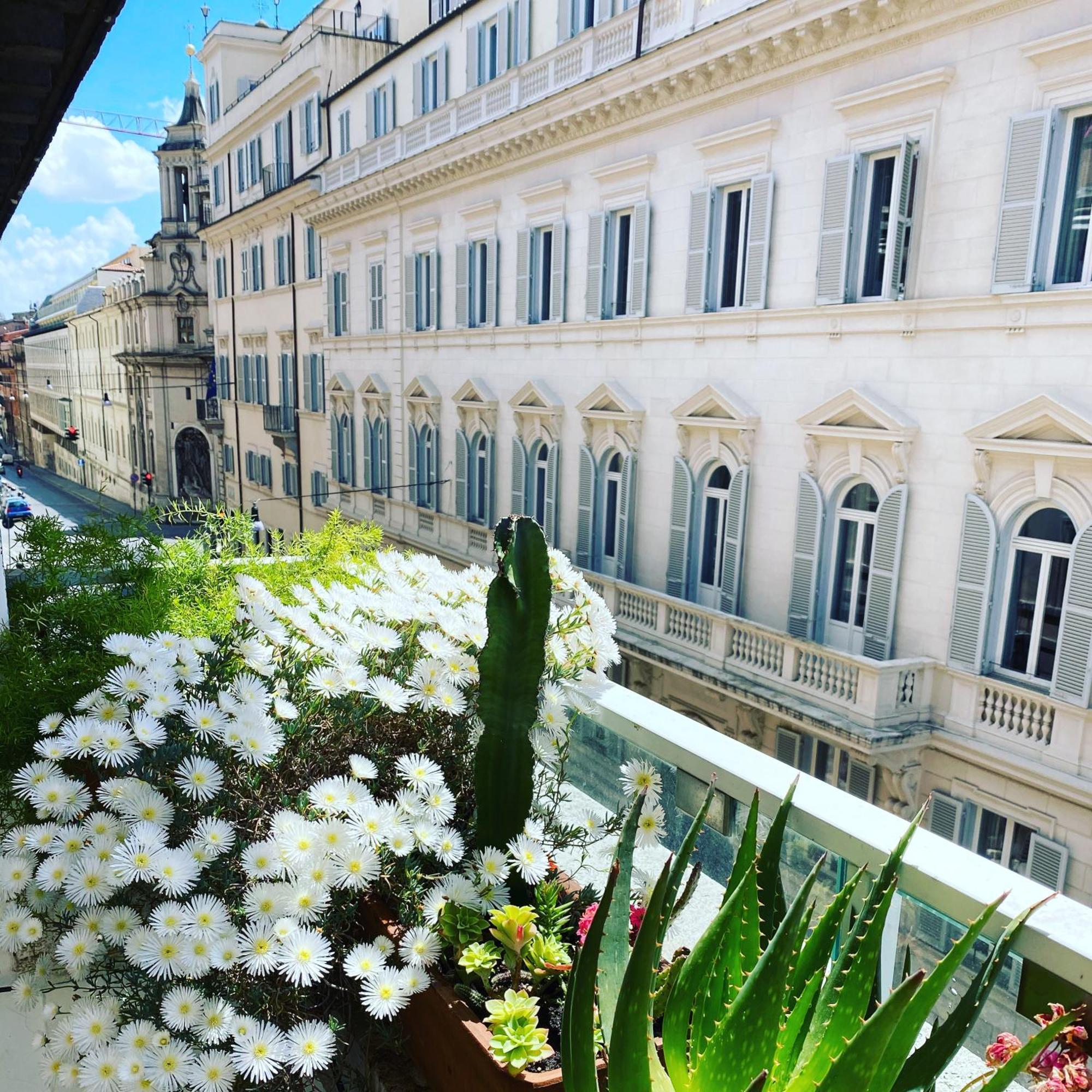 Deluxe Suite Terrace