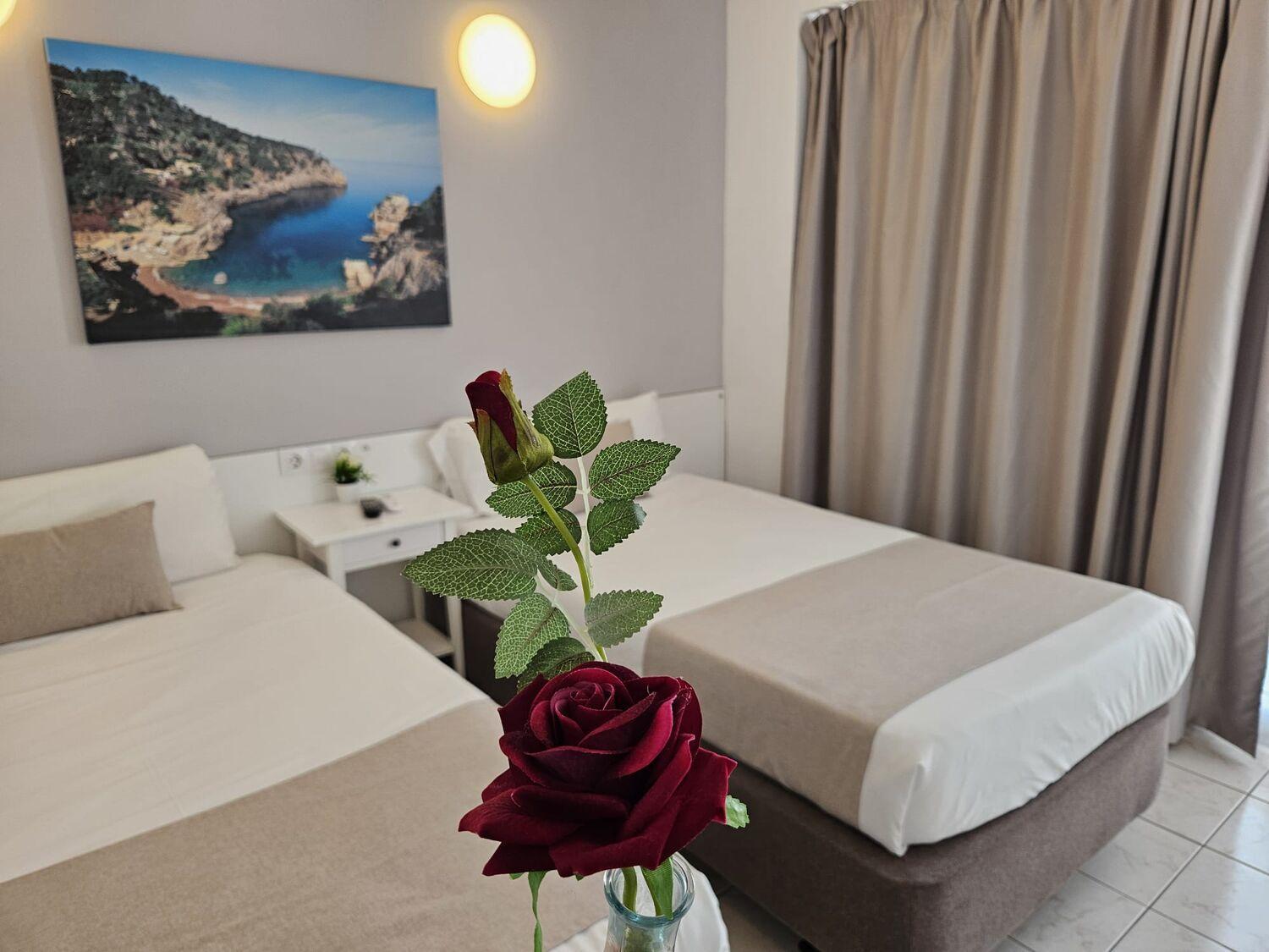 Double or Twin Room,1664819501:JPEG