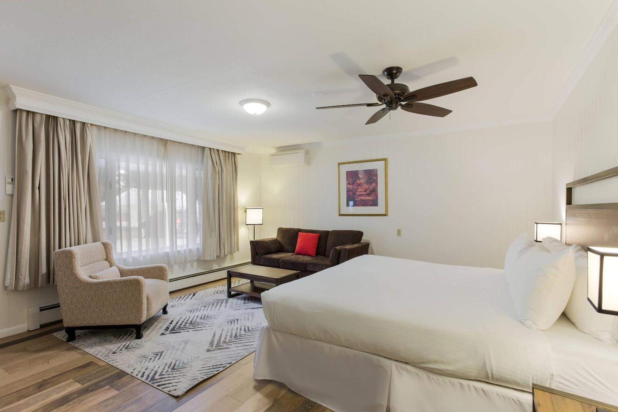 Standard King Room with Sofa Bed - Non-Smoking