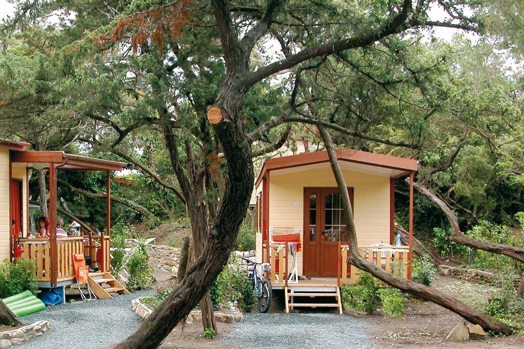 Mobile Home