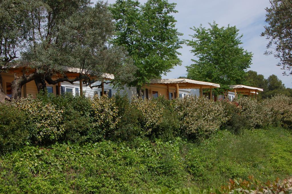 Mobile Home