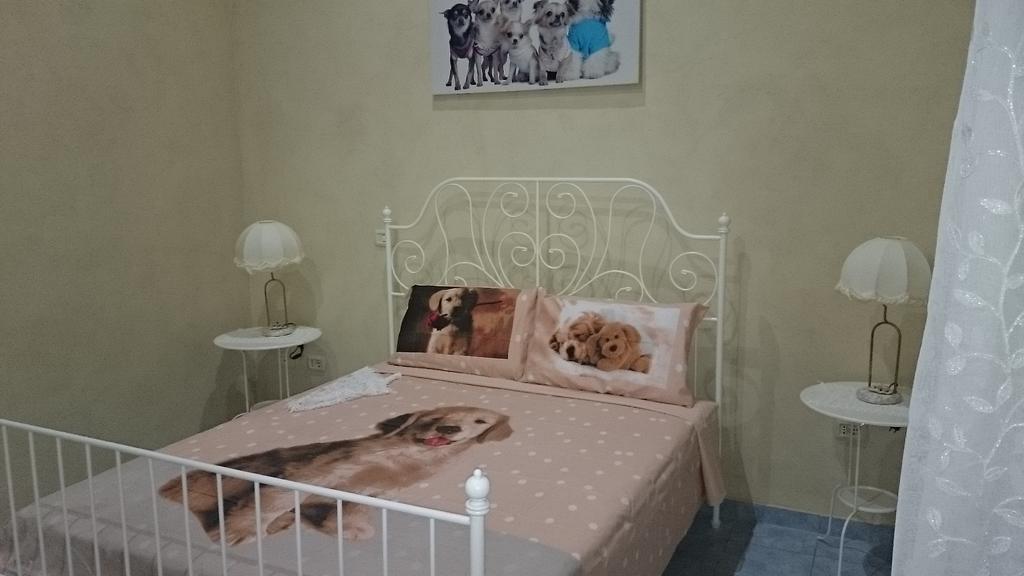 King Room with Roll-In Shower - Disability Access,1583146824:JPEG