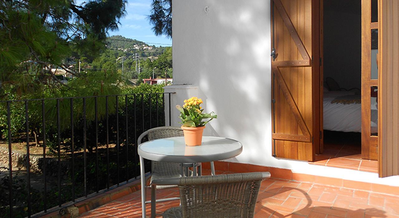 Suite Terrace
