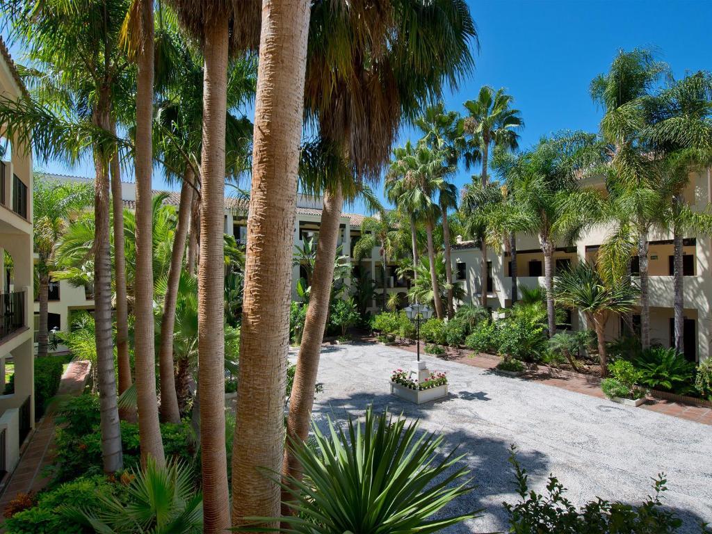 Superior Room,66835927:JPEG