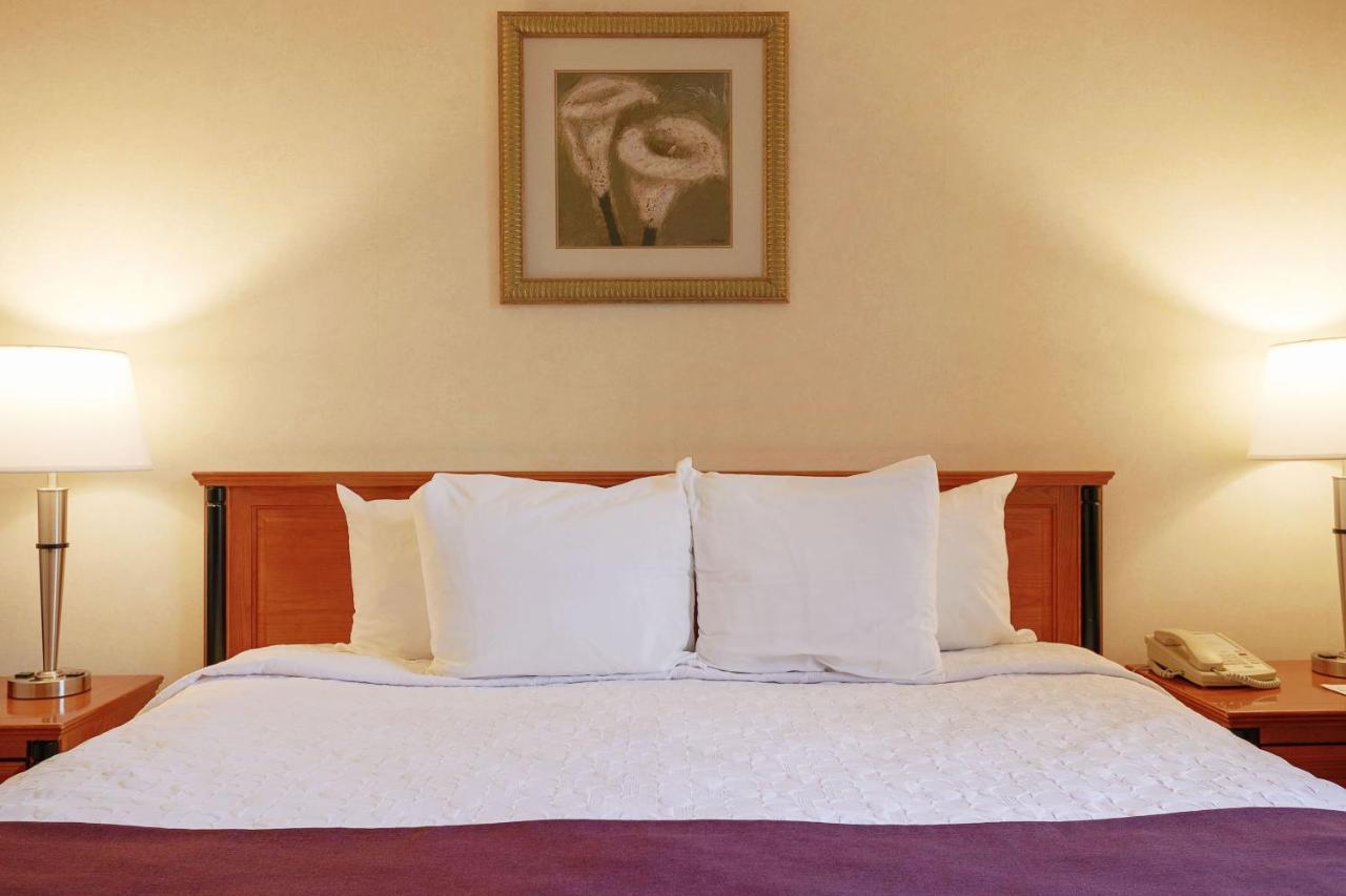 King Room,724743052:JPEG
