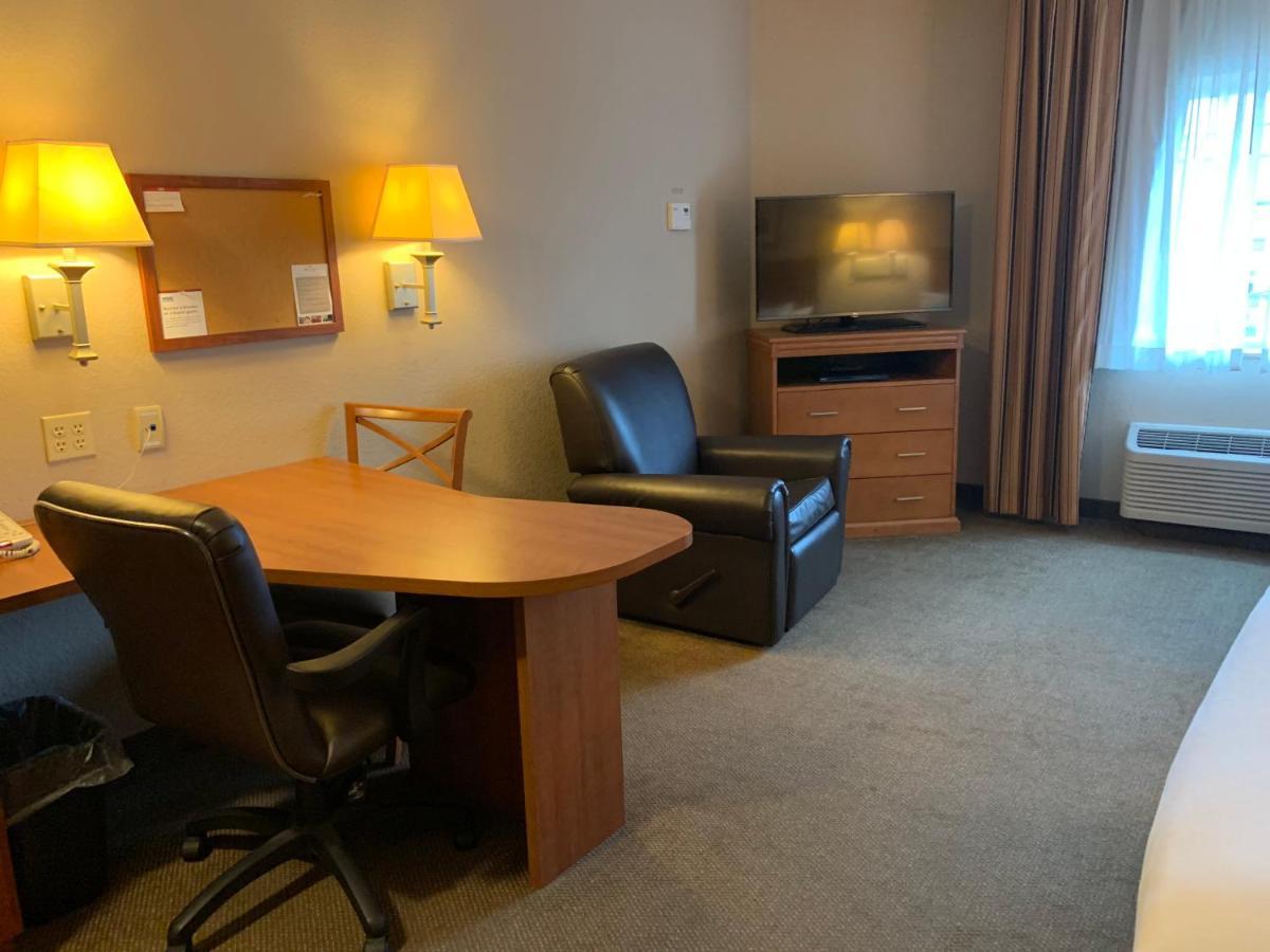 Studio Suite with Two Double Beds