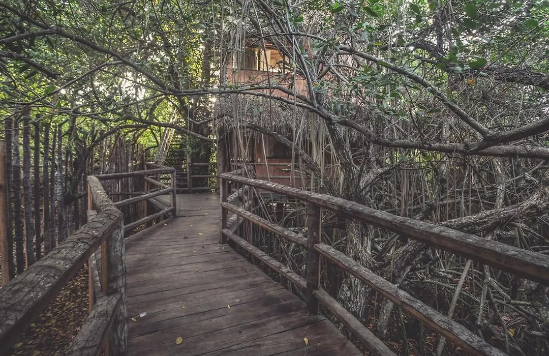 Hidden Treehouse Tulum Eco-Hotel-1