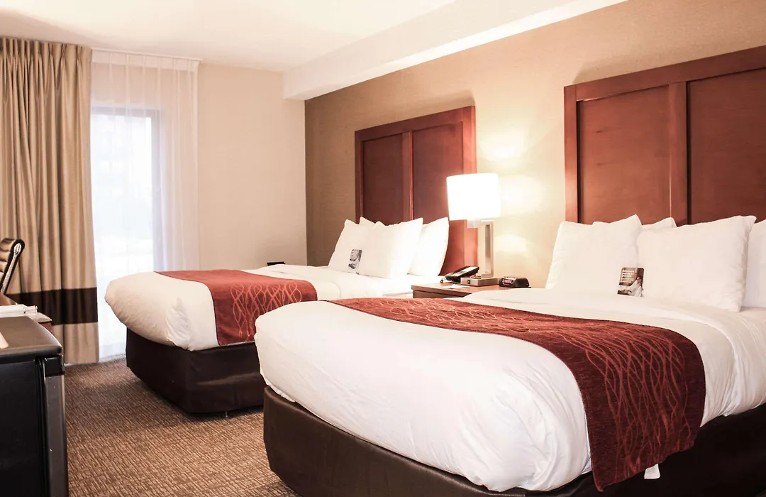 Comfort Inn Toronto North-1