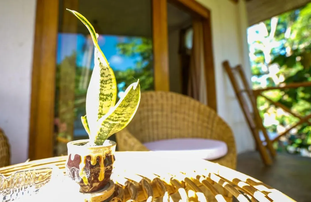 Serenity Hotel-1