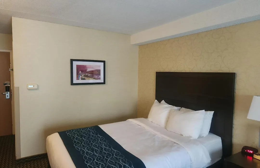 Comfort Inn-1