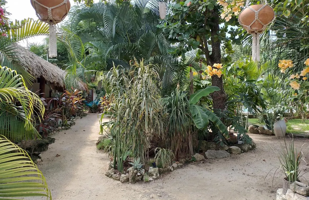 Zamunda Garden View-1
