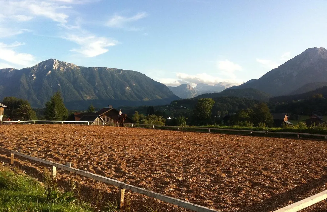 Reitbauernhof Schartner-1
