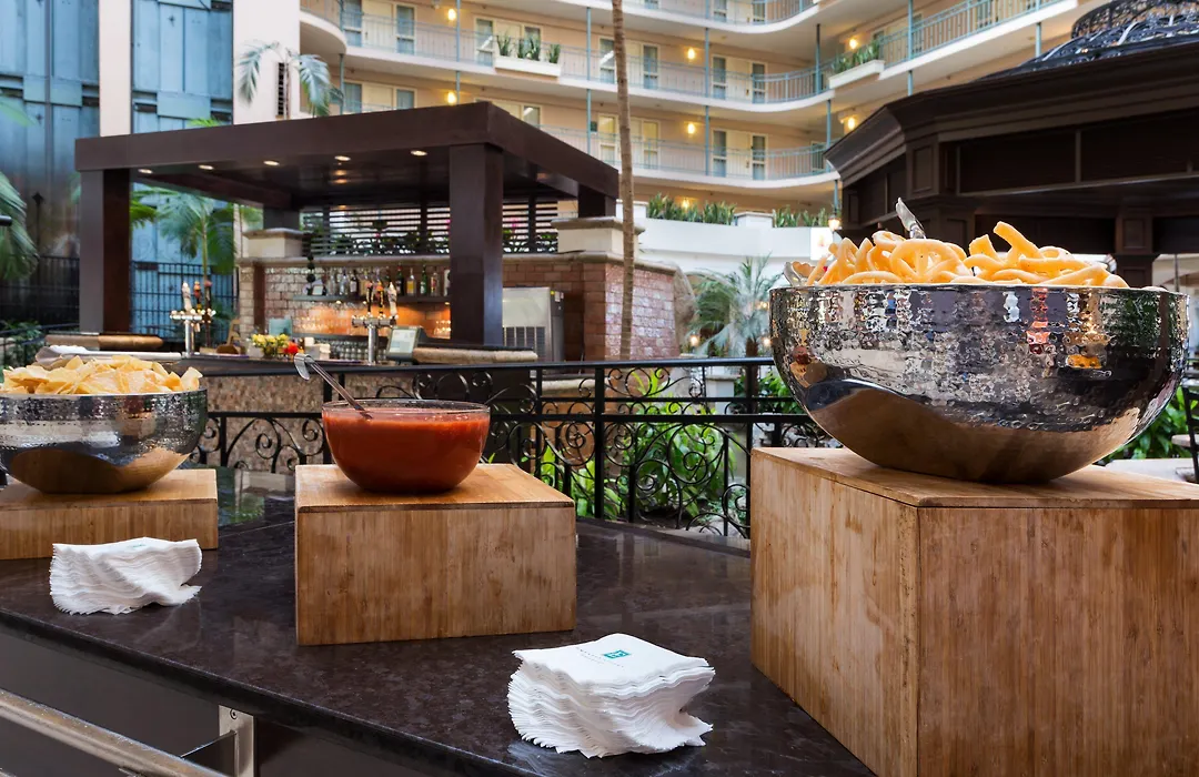 Embassy Suites By Hilton Dallas Dfw Airport South-1