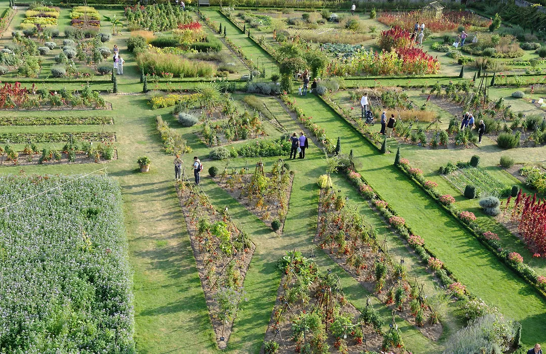 Château De La Bourdaisière-1