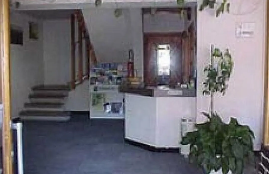 Hotel Les Fleurs-1
