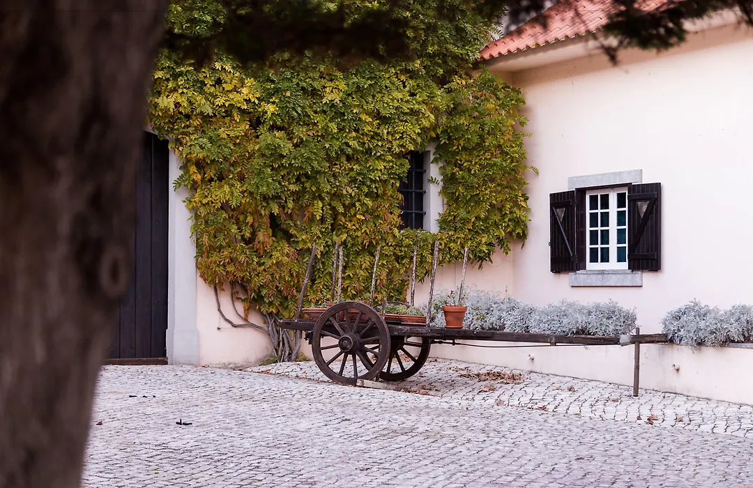 Quinta Do Covanco-1