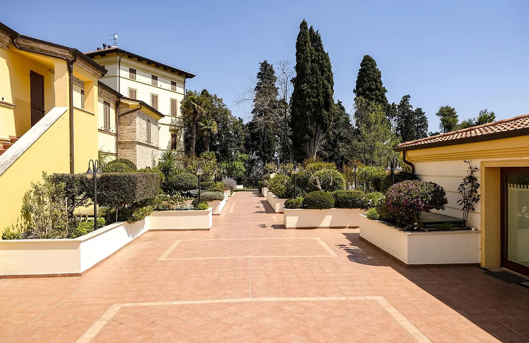 L'Antico Uliveto-1