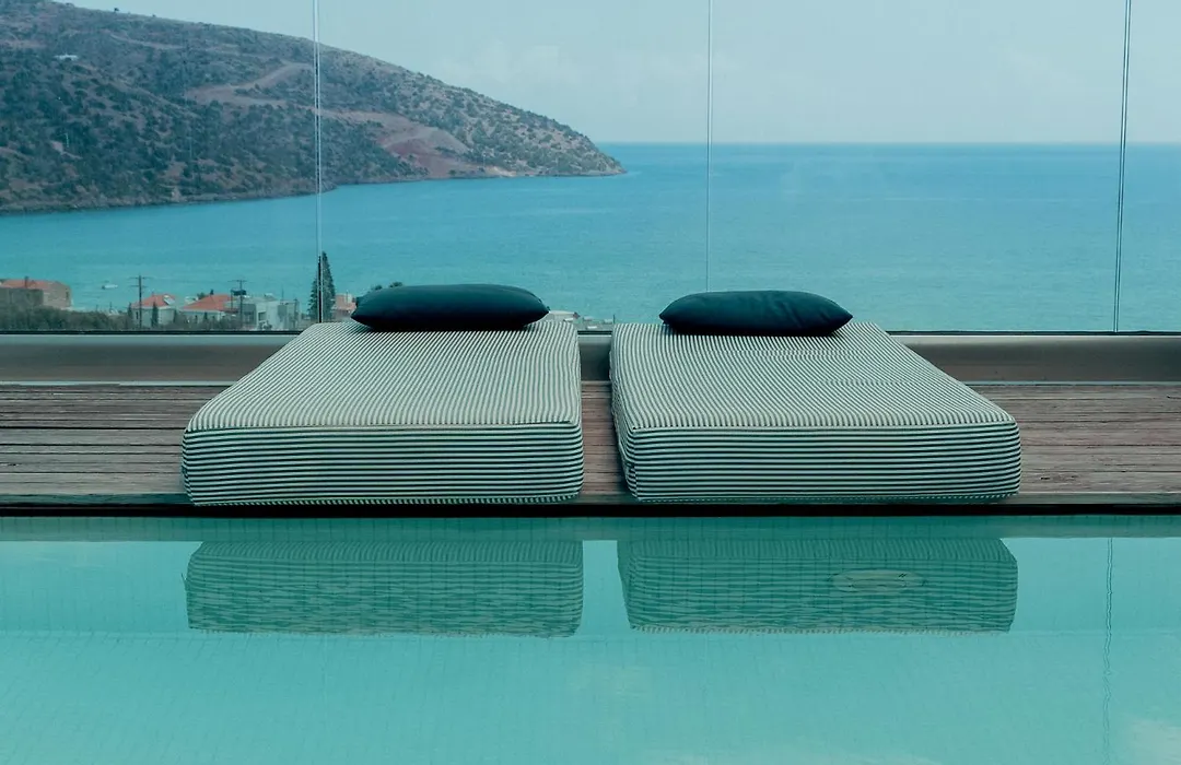 Zeus Eleva Miraya (Adults Only)-1