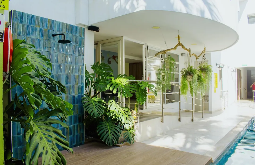 Malik Hotel Boutique-1
