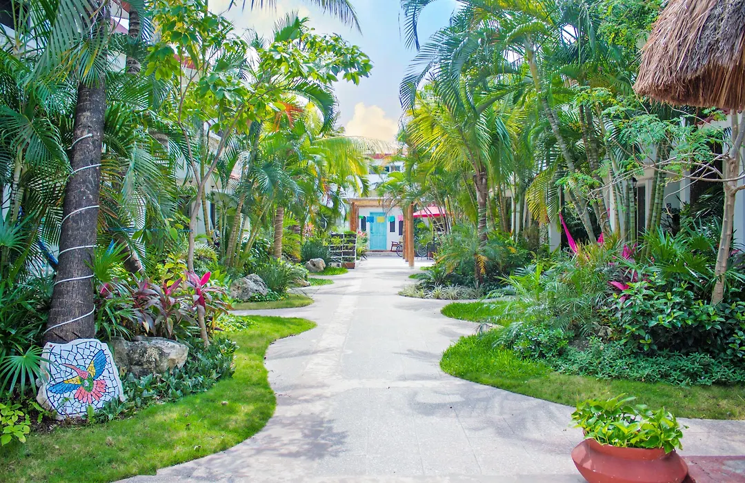 Hotel Villas Colibrí Suites&Bungalows-1