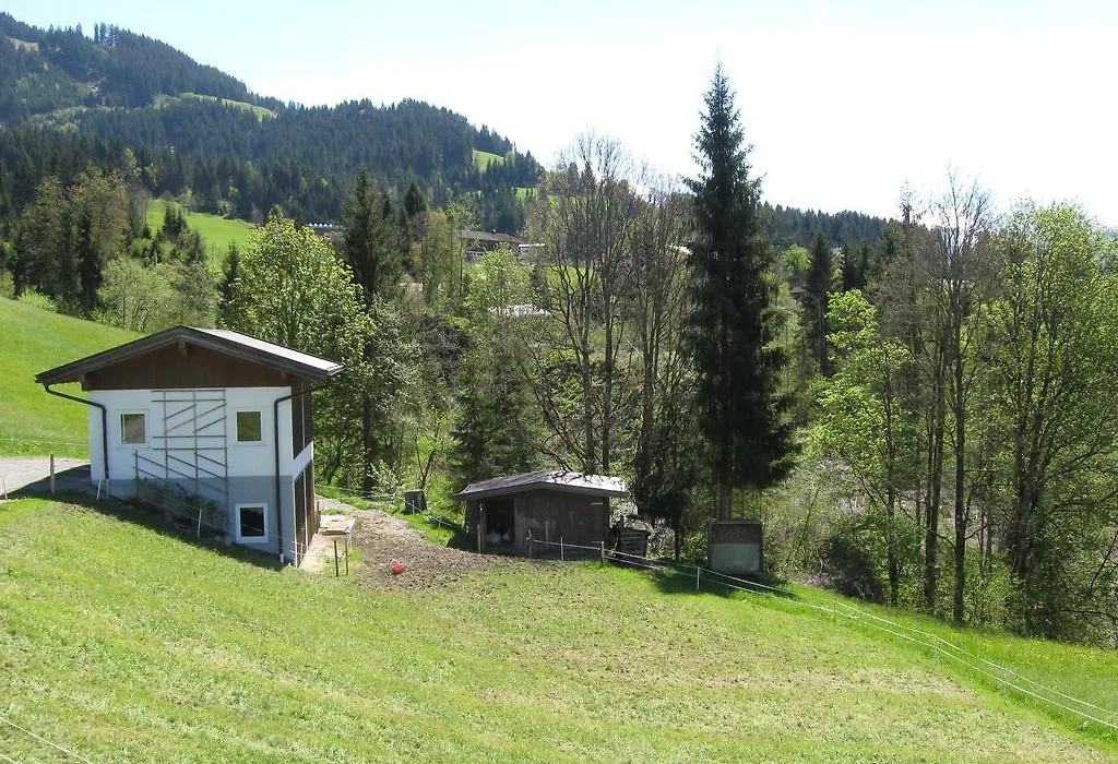 Haus Steinlechner-1