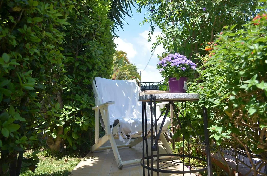 Ansise Guest House-1