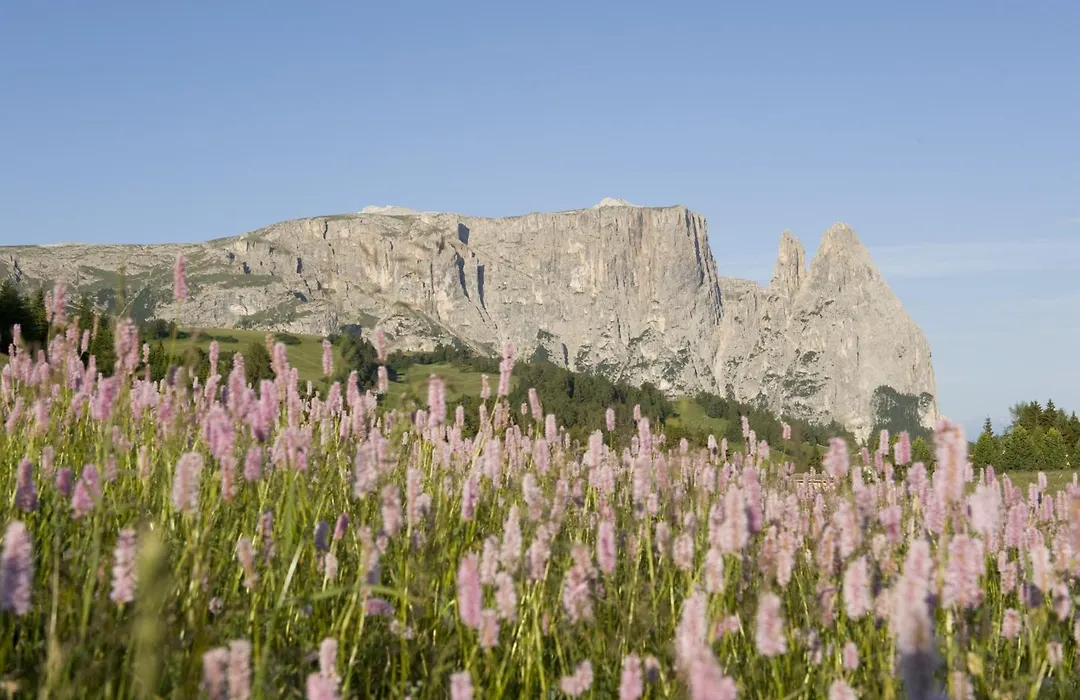 Seiser Alm Urthaler-1