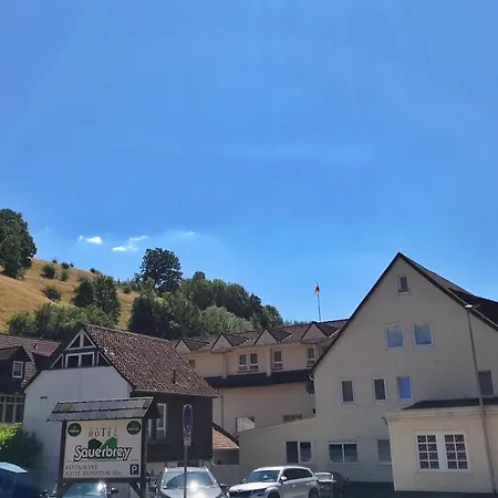 Hotel Sauerbrey-3