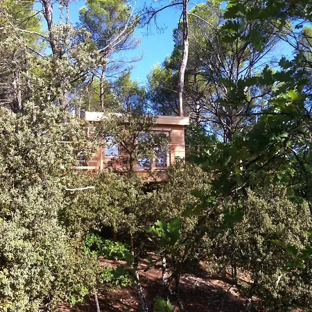 Cabane des K'Hauts Pins-2