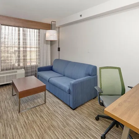 Holiday Inn Express & Suites Irving Conv Ctr - Las Colinas By Ihg-2