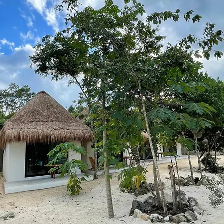 The Reserve Tulum-2