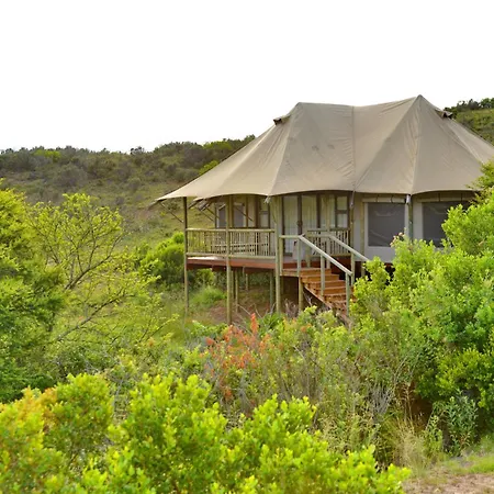 Garden Route Safari Camp-3