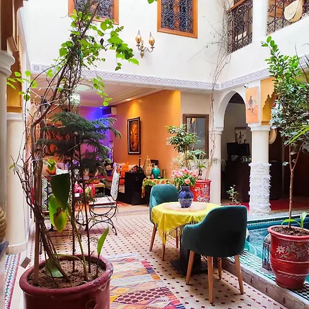 Riad Zahri-3