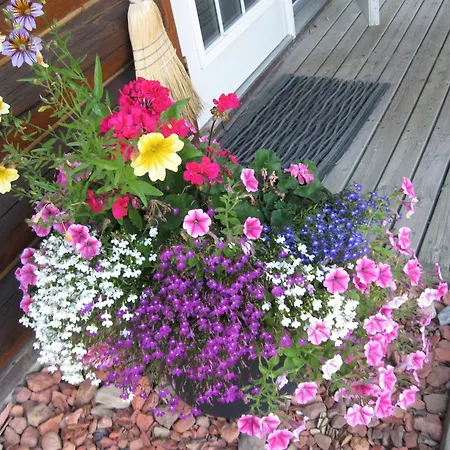 Whitewater Lodge-3